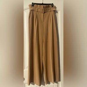Express Wide Leg Pants